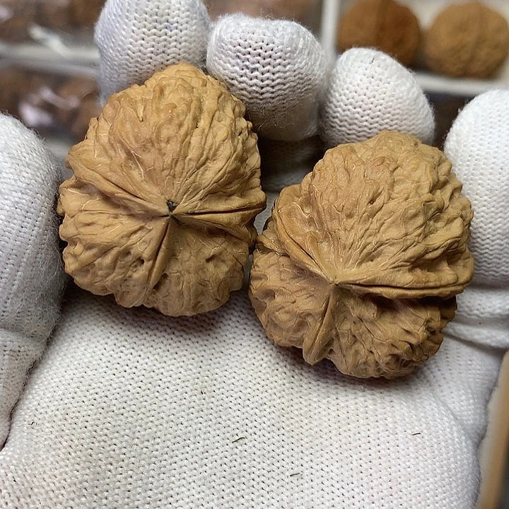 核桃38三棱铁核桃14号