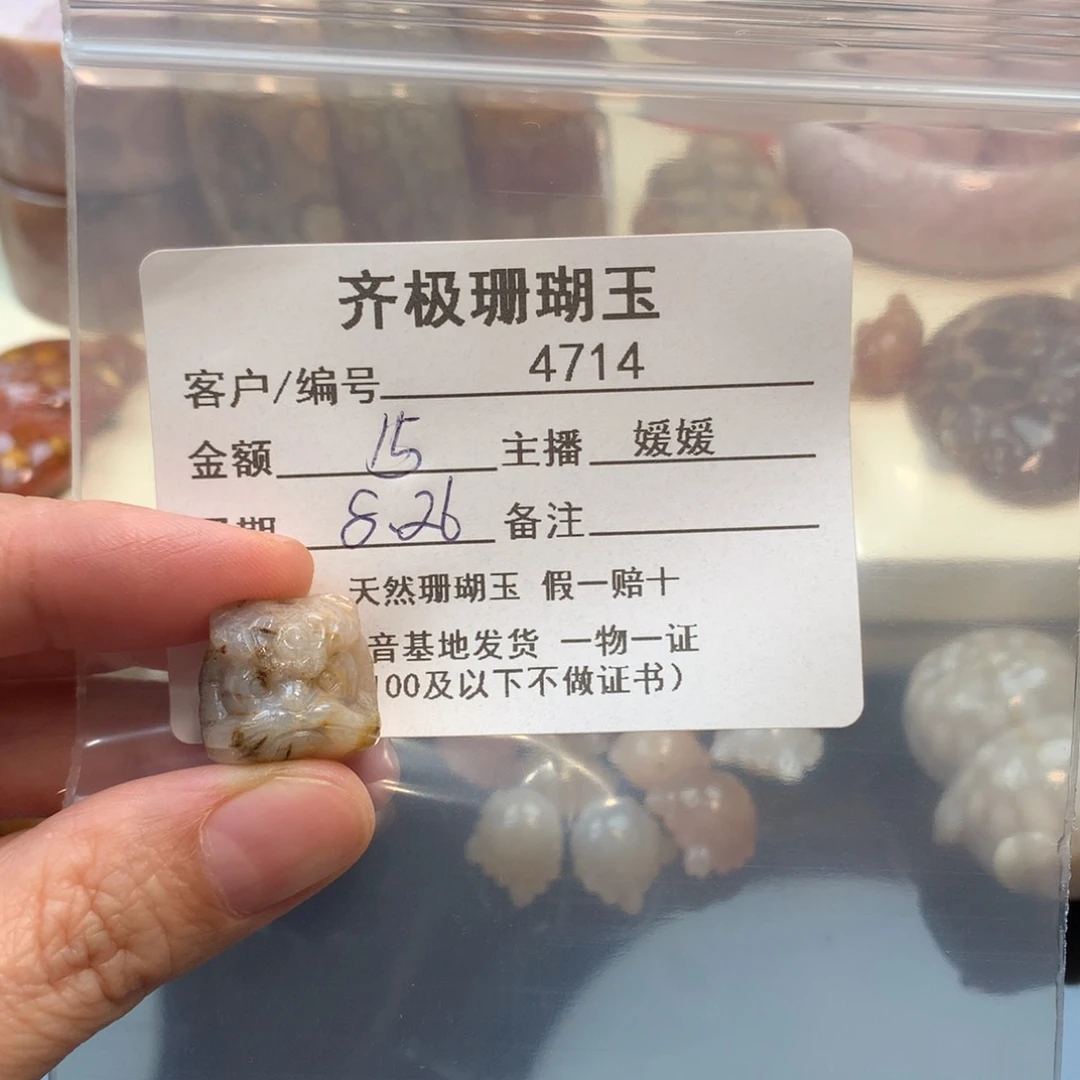 颈饰未镶嵌硅化珊瑚（珊瑚玉）茜*