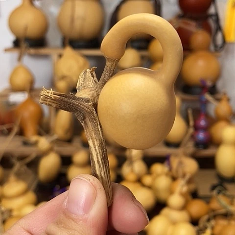 精品厚皮小八宝葫芦