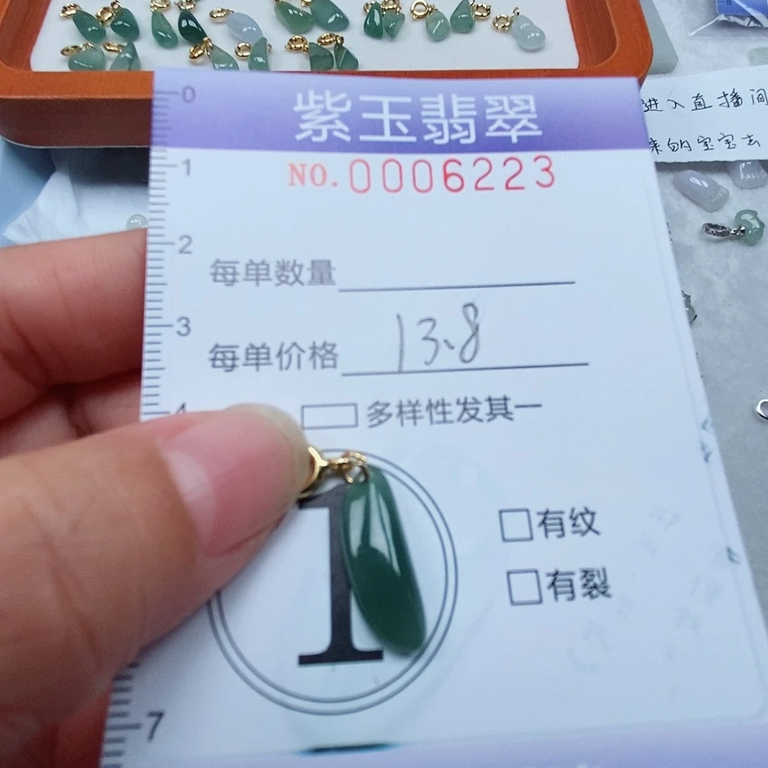 颈饰未镶嵌翡翠冰透随行