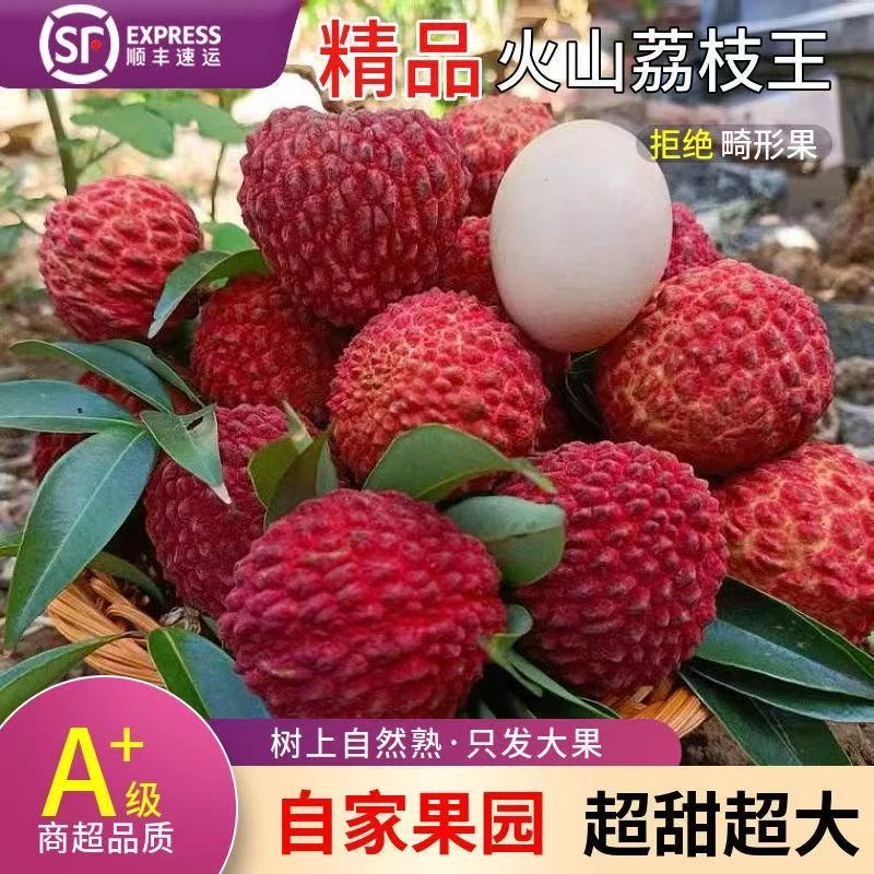 达人推荐网红荔枝王现采顺丰空运包邮孕妇老人小孩荔枝王坏果包赔