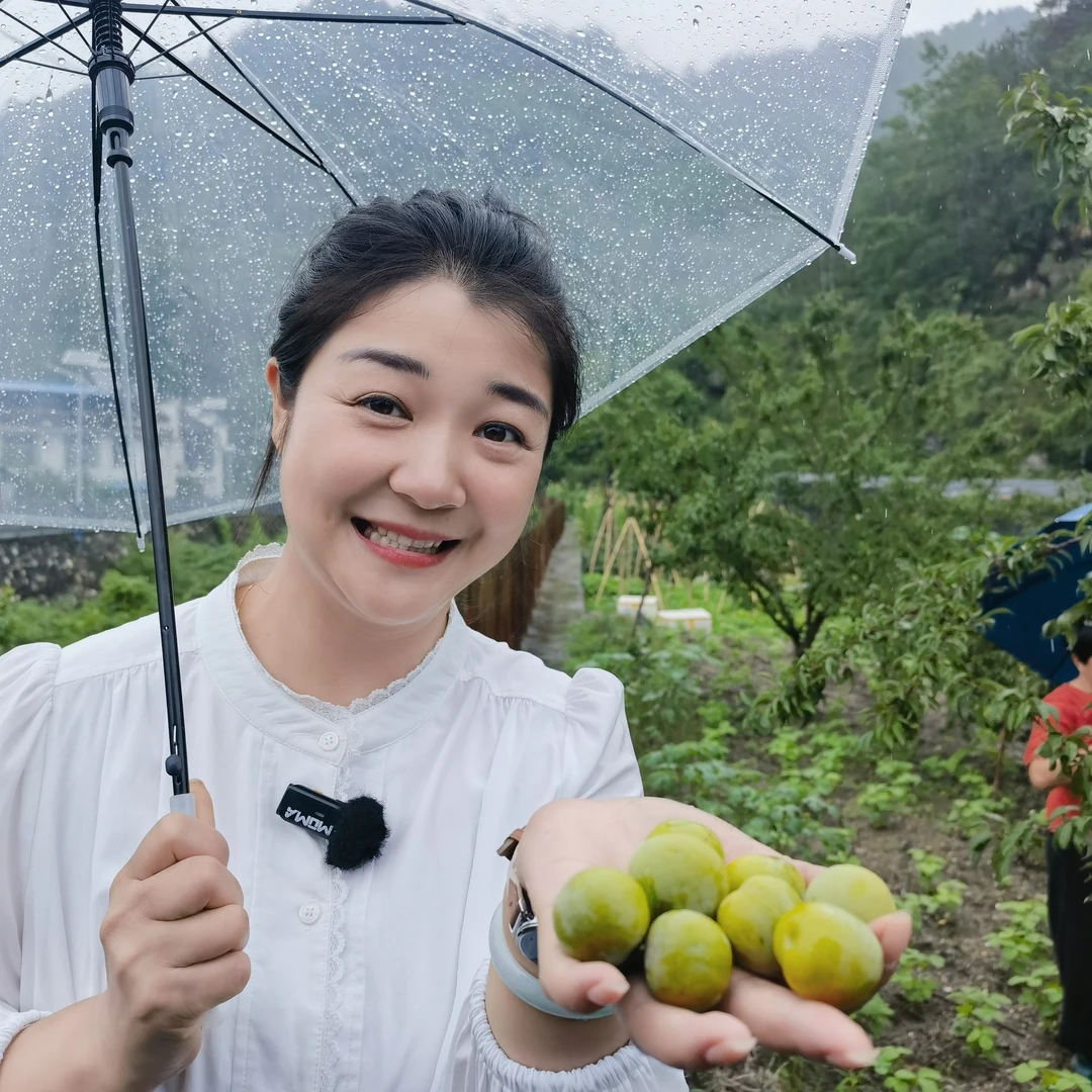 大河坝水库算盘李奈李脆甜多汁当季水果