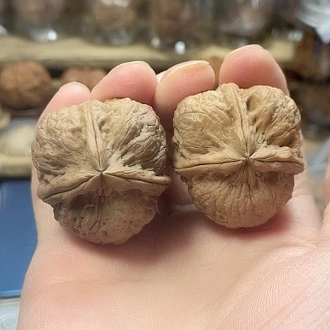 文玩核桃把件霸王鼎带彩38