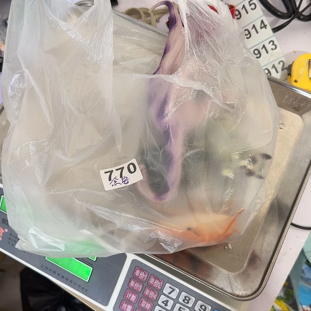 各种动物们集合们