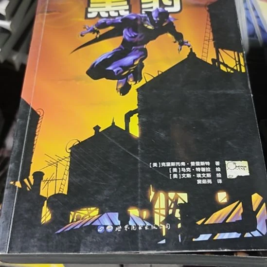 黑豹瓶装，务必塑封，库存书