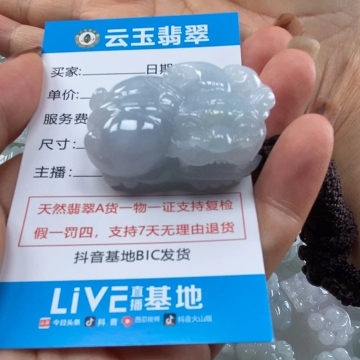 翡翠未镶嵌颈饰多人貔貅