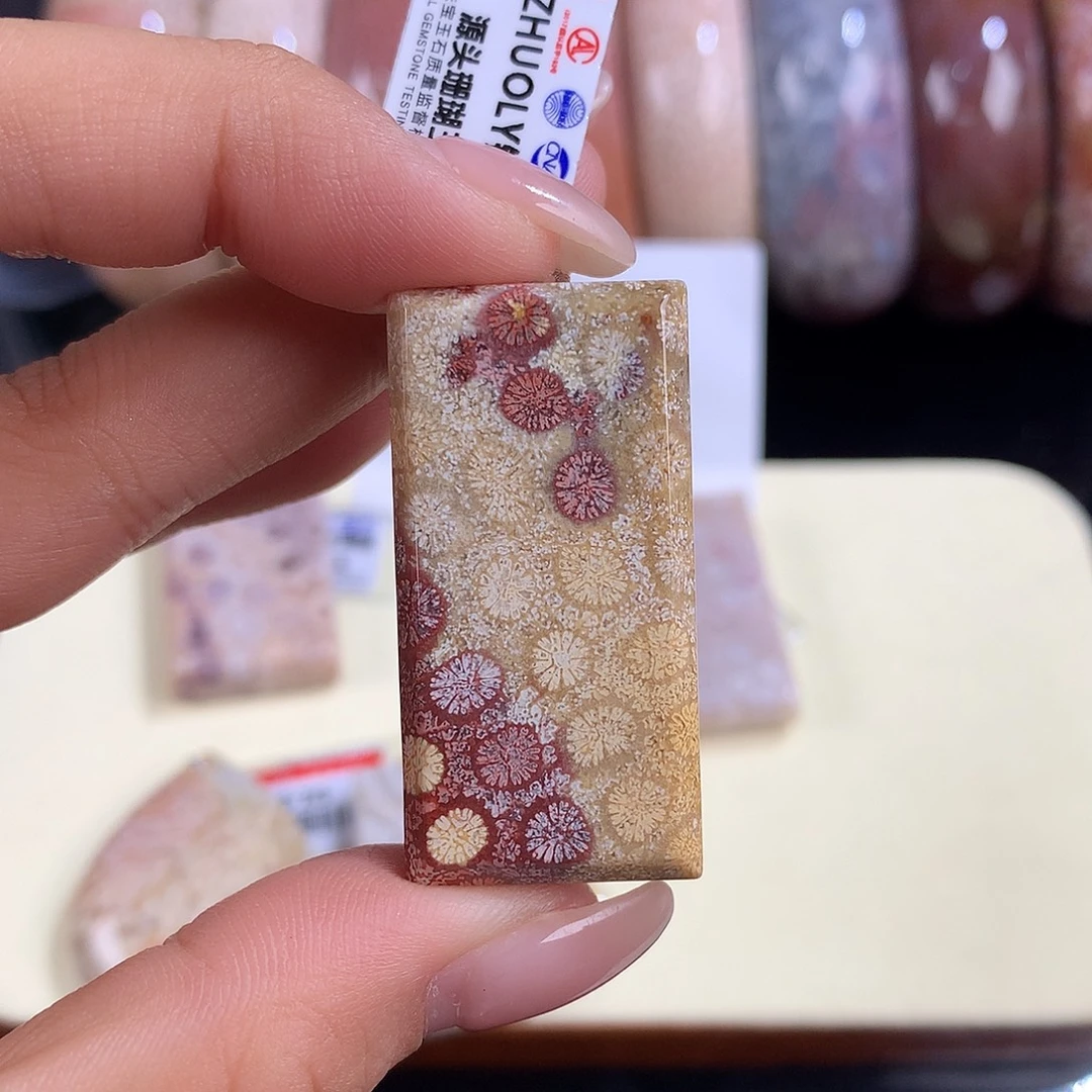 吊坠(赠链)未镶嵌硅化珊瑚（珊瑚玉）12号