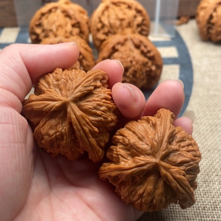 围***师核桃白狮子42核桃