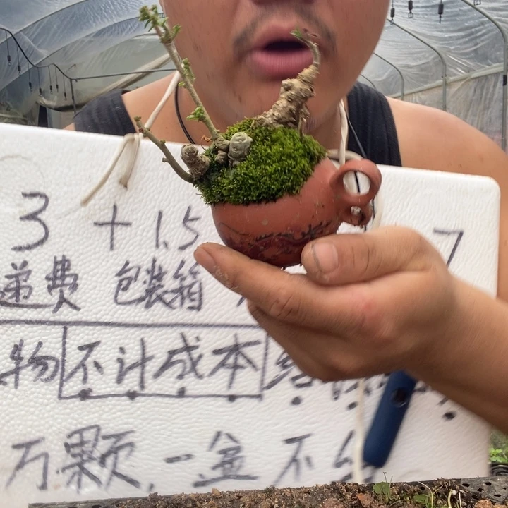 退款拉黑一物一拍72