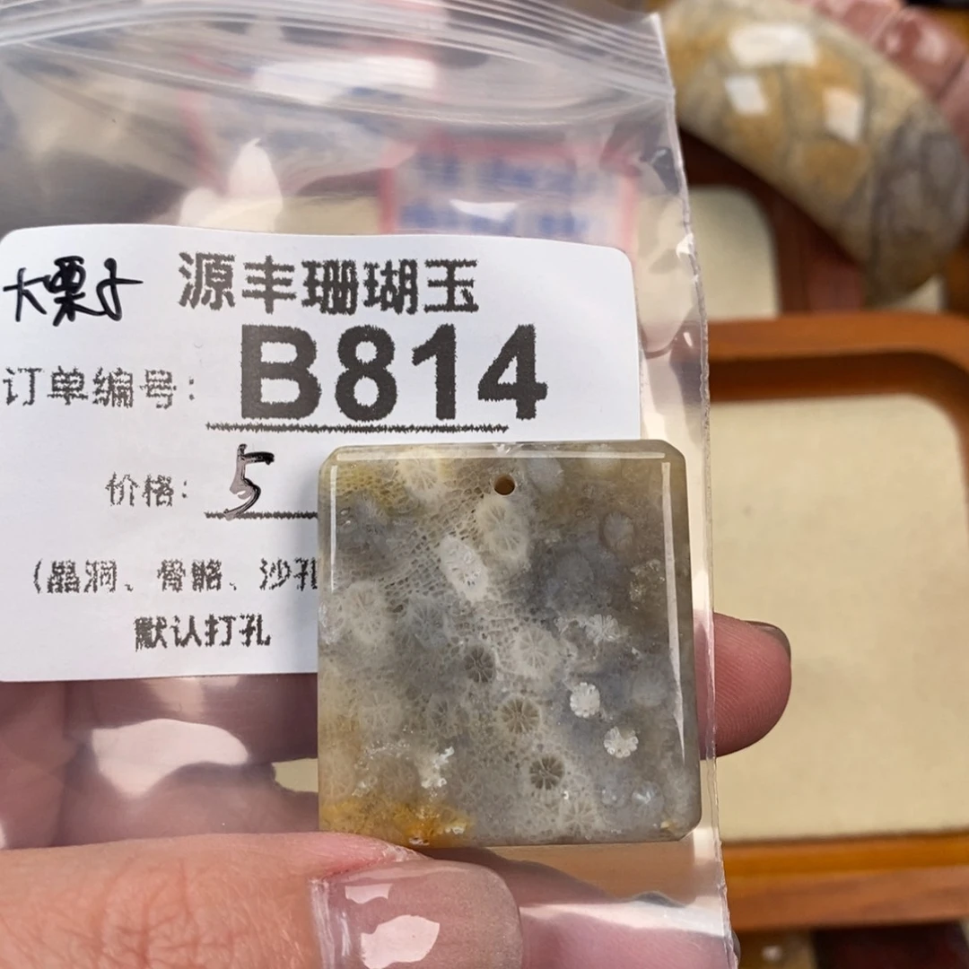硅化玉颈饰未镶嵌这***子