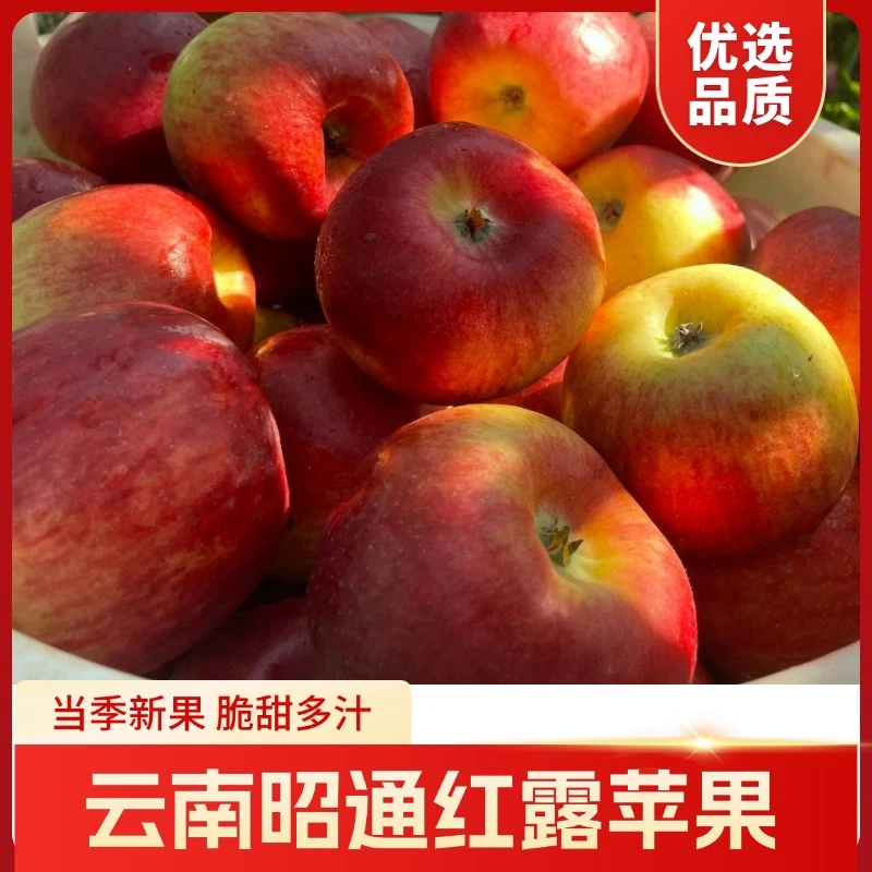 新鲜当季苹果云南红露苹果香甜爽口肉脆汁多皮薄水果色泽产地直发