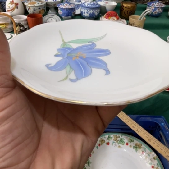 散瓷?****倪散瓷完美者慎拍