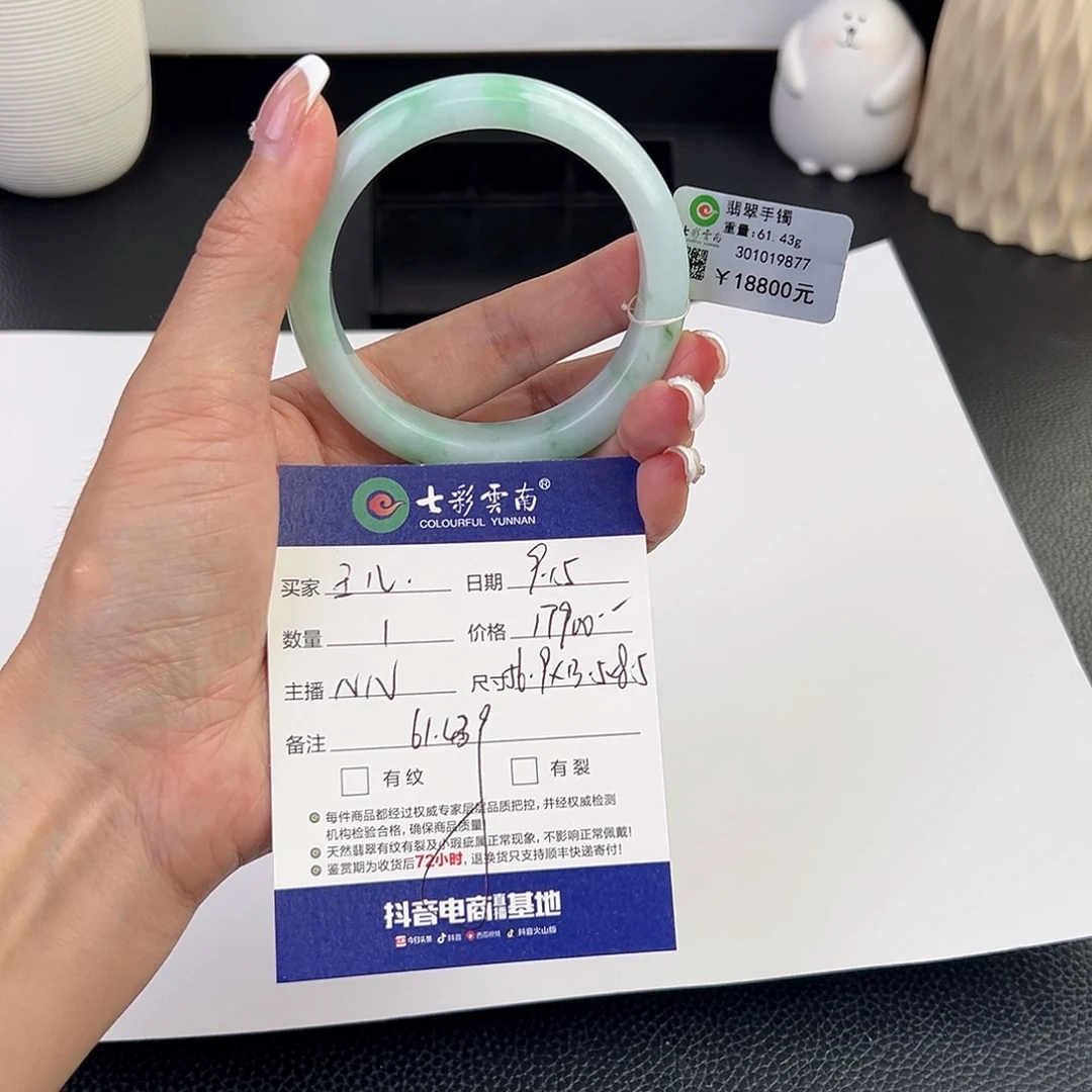 王***儿未镶嵌手镯翡翠白底青
