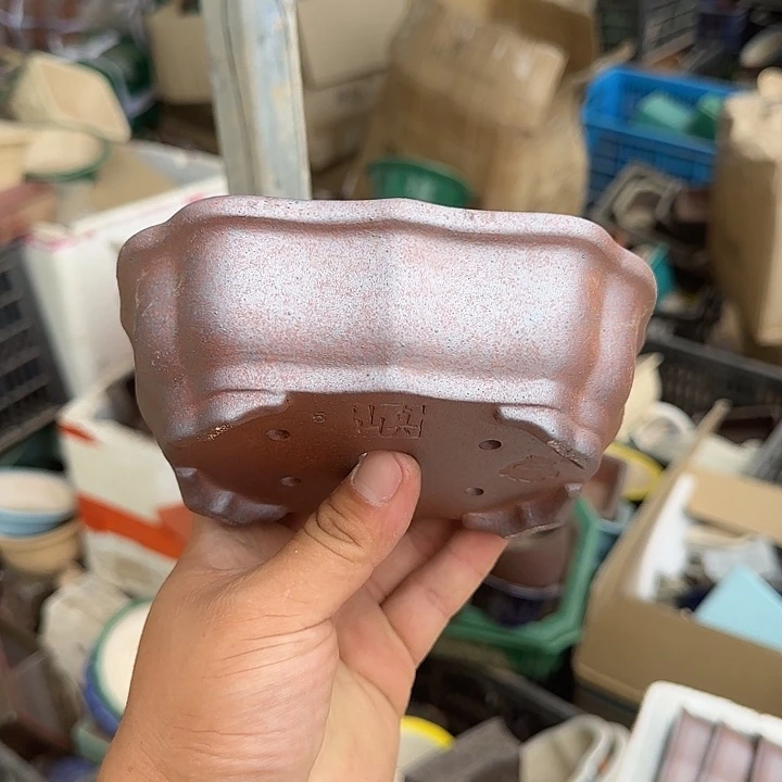 你是怎么说出这个的吗