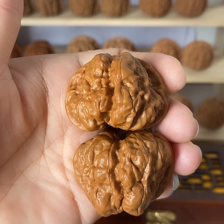 42有腿有眼蛤蟆头