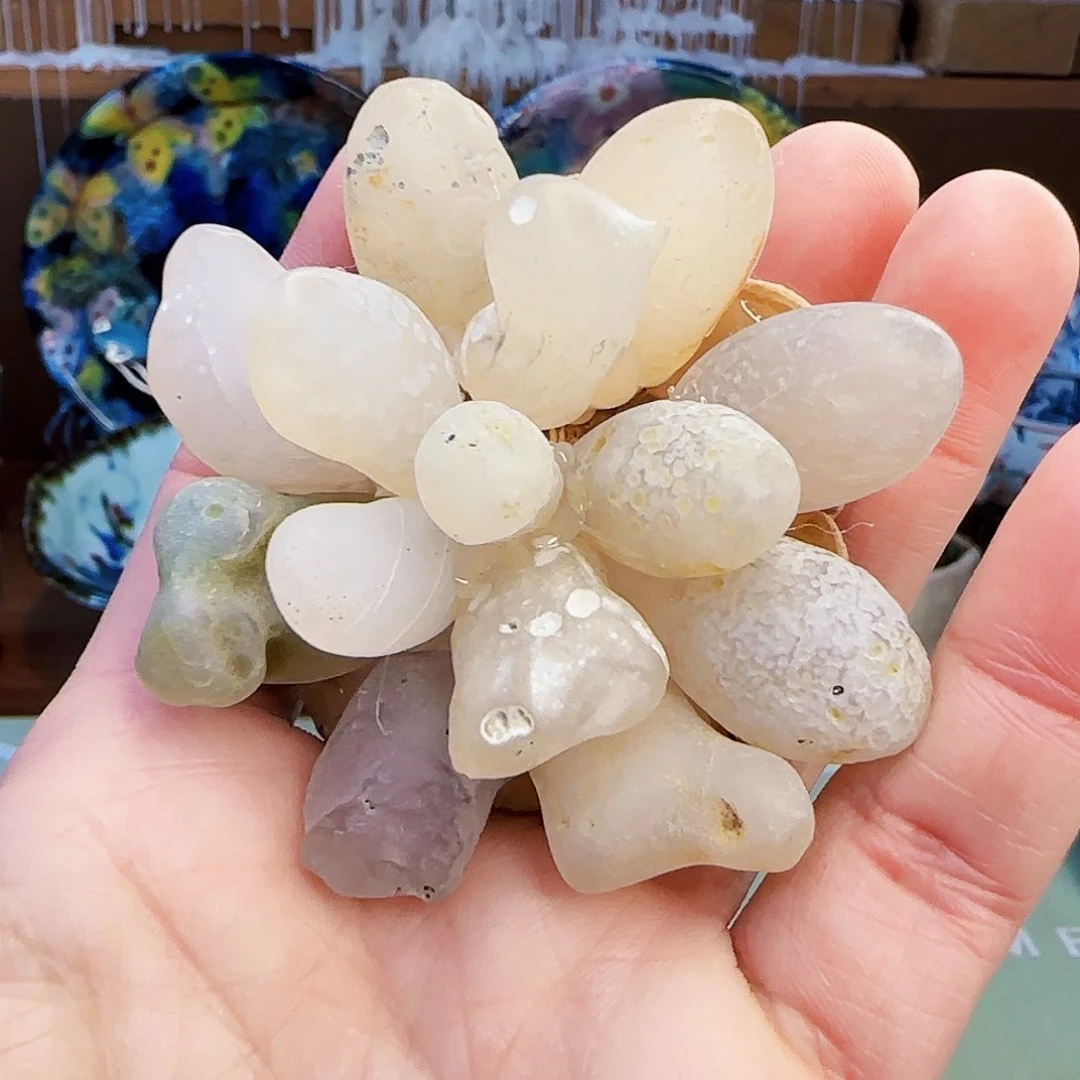 咖啡杯水杯杯子茶杯茶碗茶壶