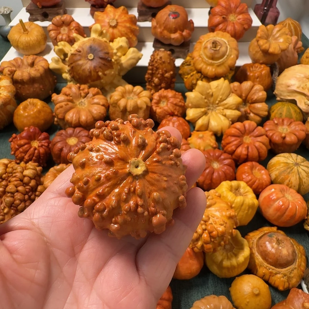 ㋛****墨西哥葫芦瑕疵不退换