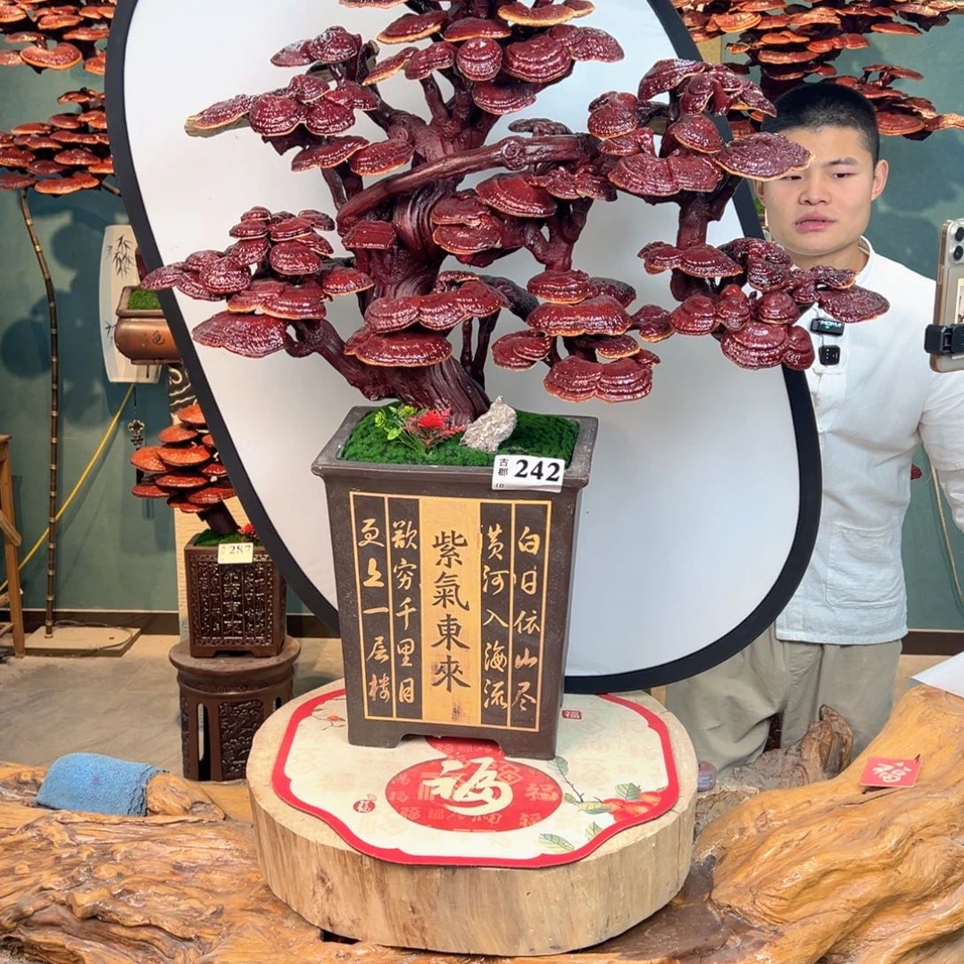 无花朵88888888888