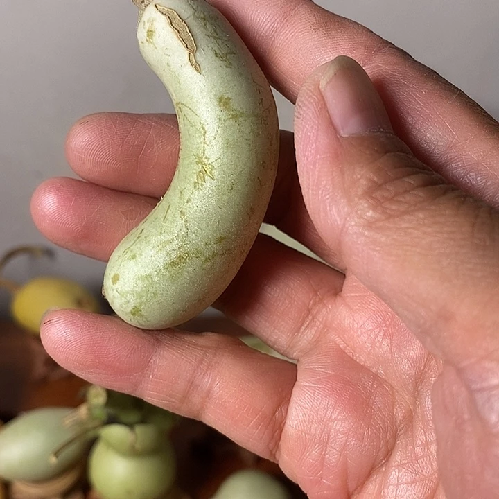黎***生青皮腰子葫芦手把八摆件