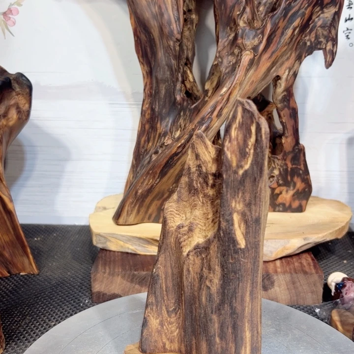 康***君木直播间一物一拍