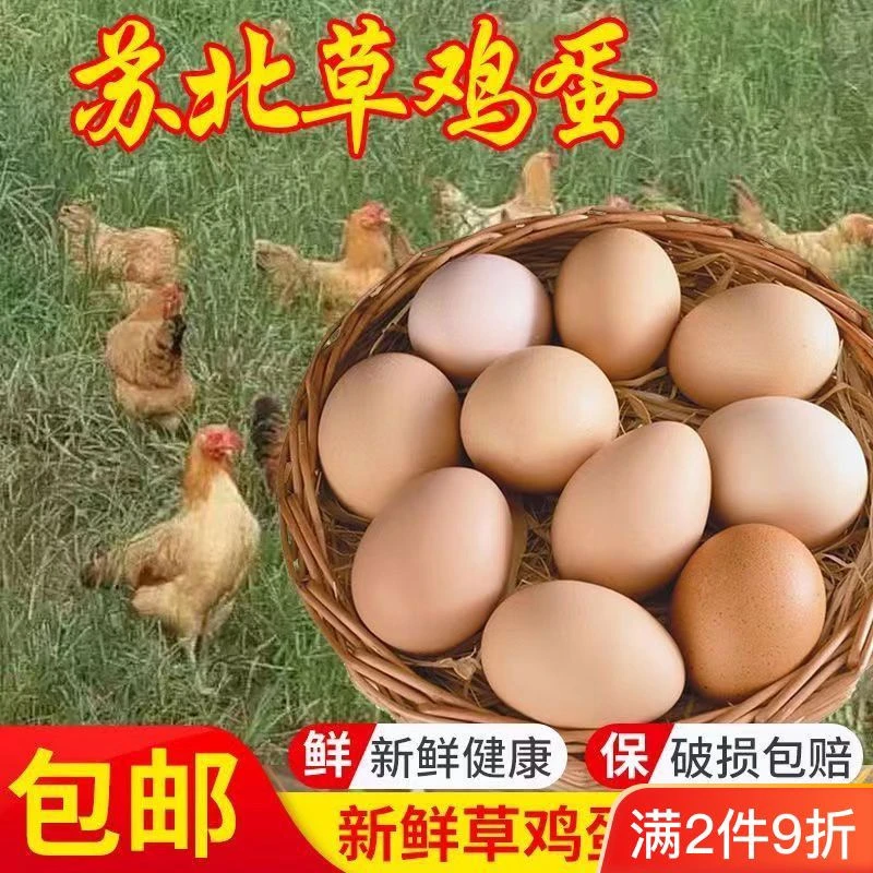 【顺丰包邮】苏北草鸡蛋30个一盒