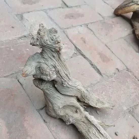 漫***者柏木（崖柏）崖柏摆件，，，，