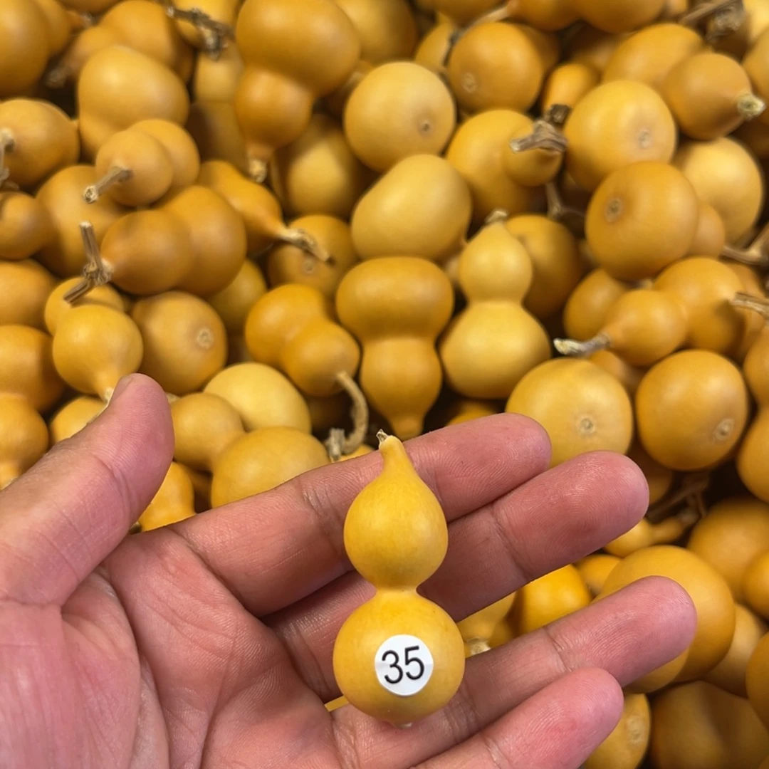 六葫芦葫芦葫芦葫芦35