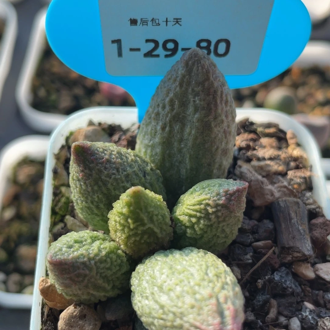 福利。    福利。