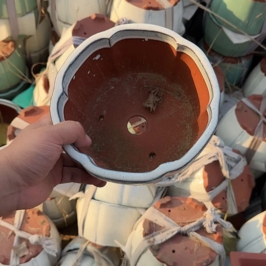 一次也不能多打个两分钟呀不用啦好嘛