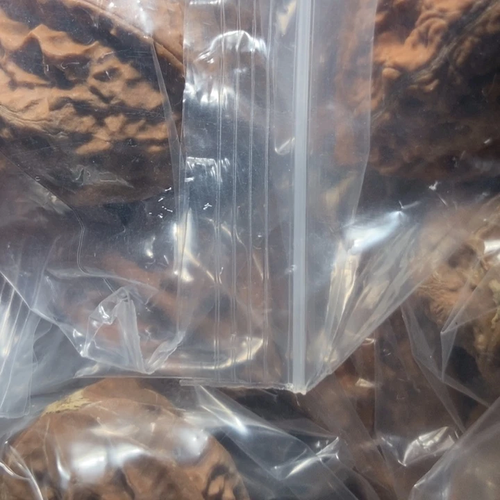 把件文玩核桃东北楸子小雪61