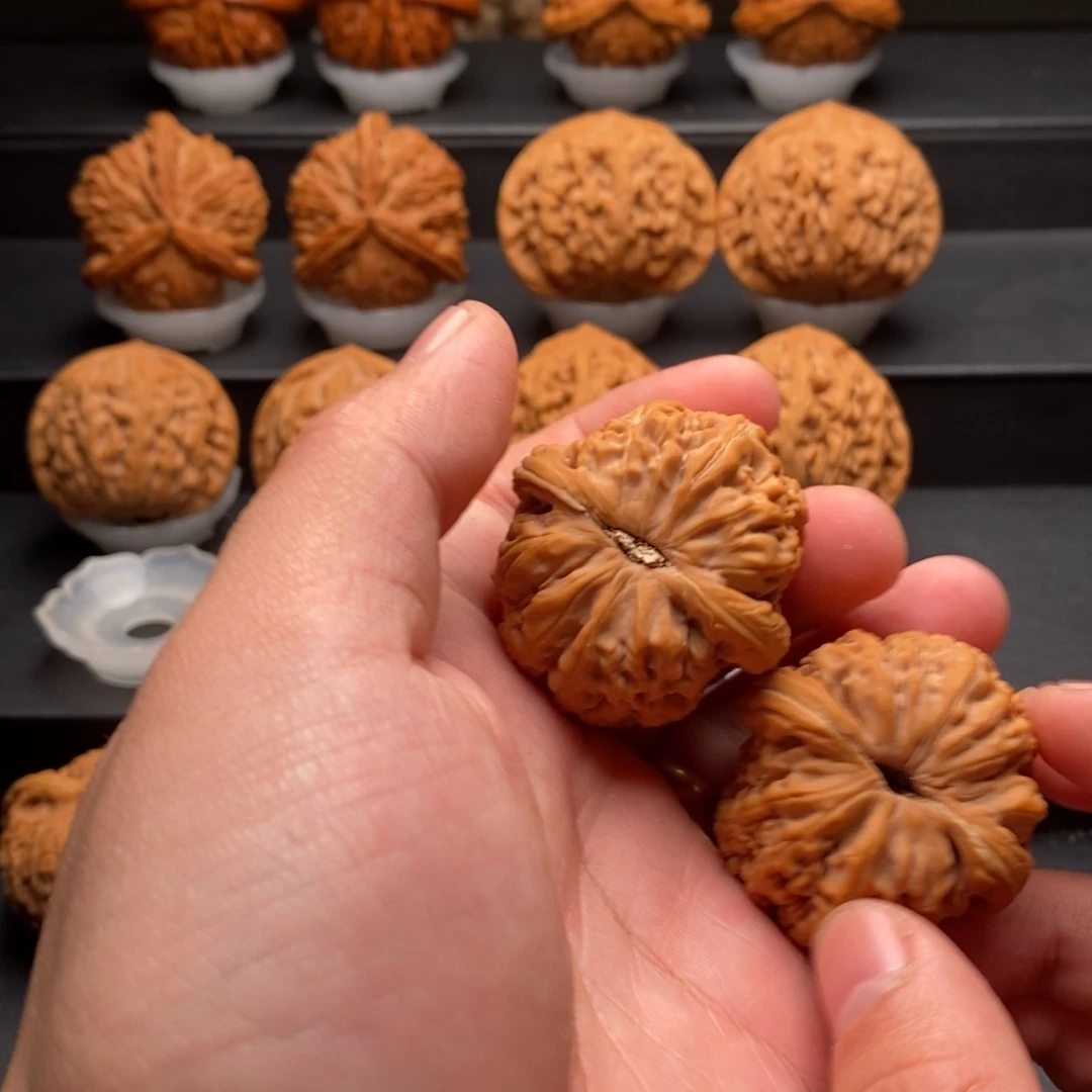 文玩核桃把件养*仔核为贵