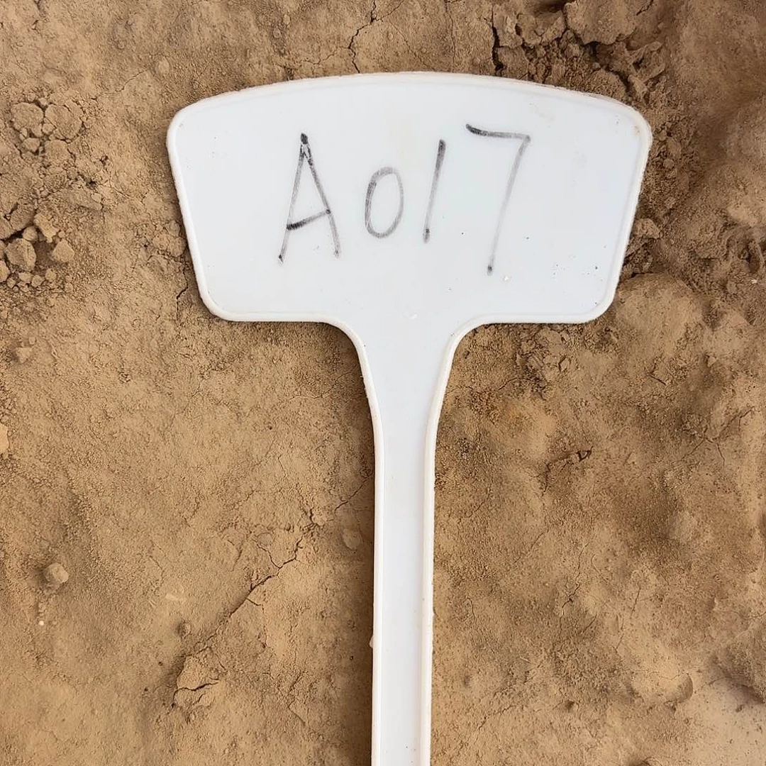 ****࿐A017,琉璃盏和cc209瑕疵