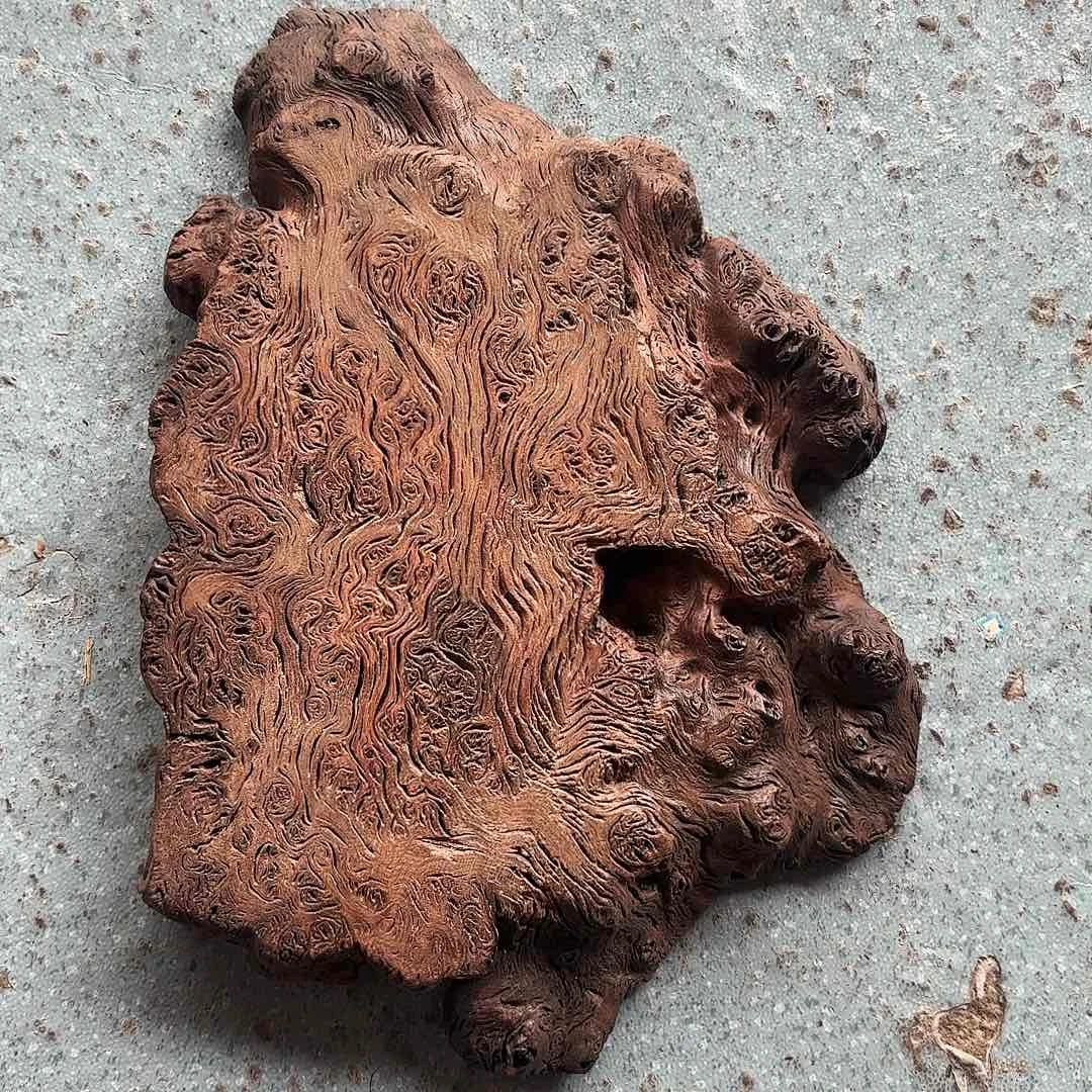 启***园木铁栎木树瘤精品板