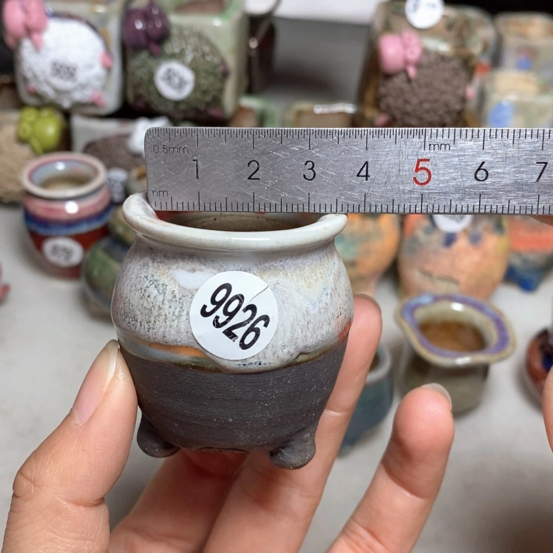 拍5送一个小礼物