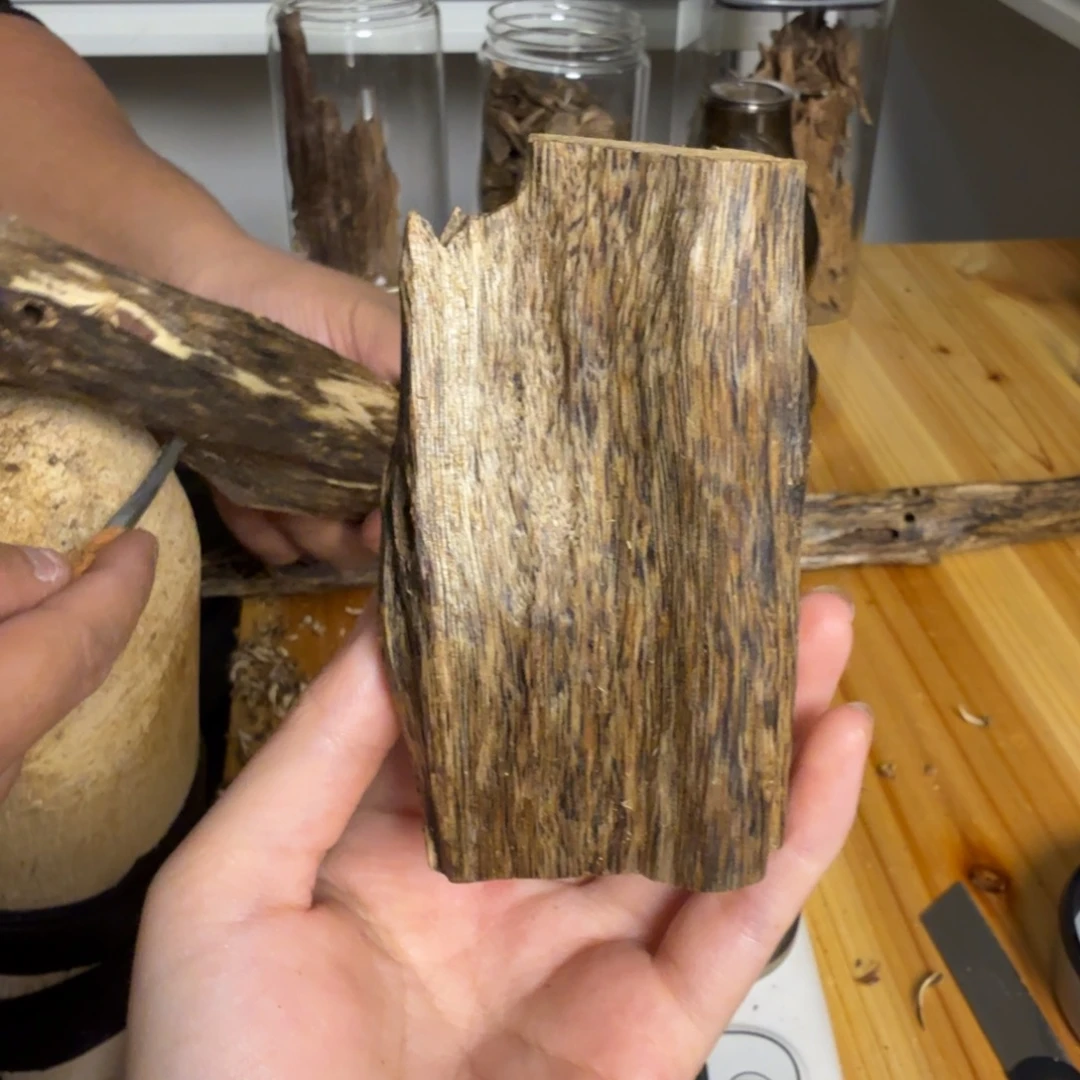 沉香白奇虫漏香36克