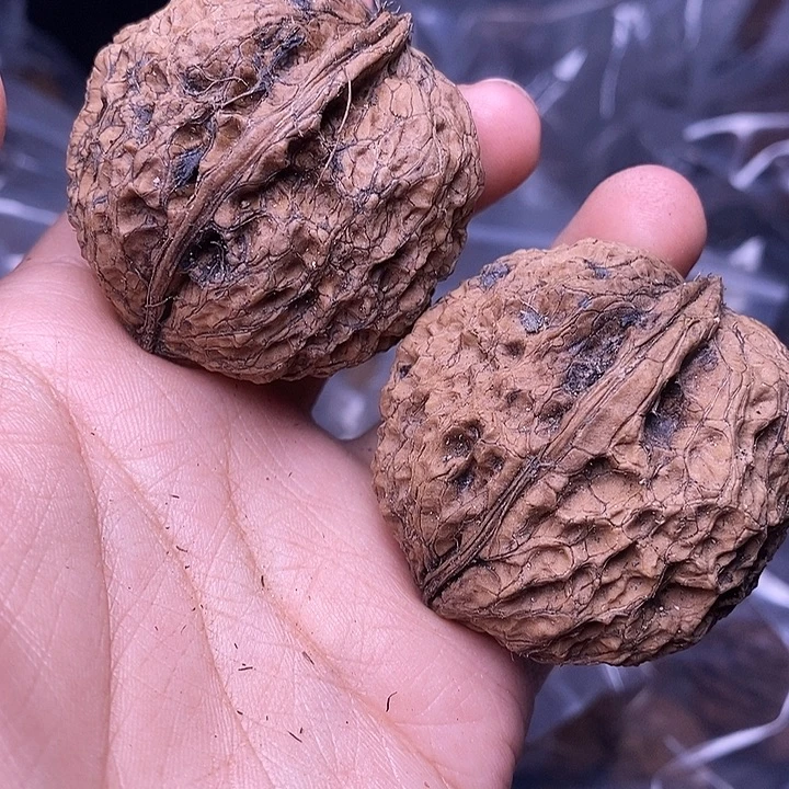 把件文玩核桃   261