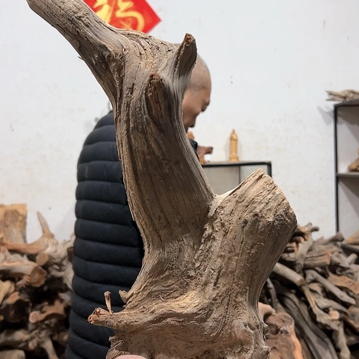 柏木林*我们的生活也是如此