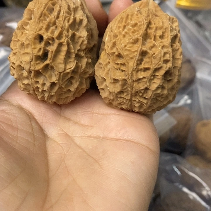 核桃云南铁核桃基地29