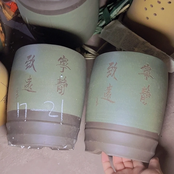 周深周深周深周深走