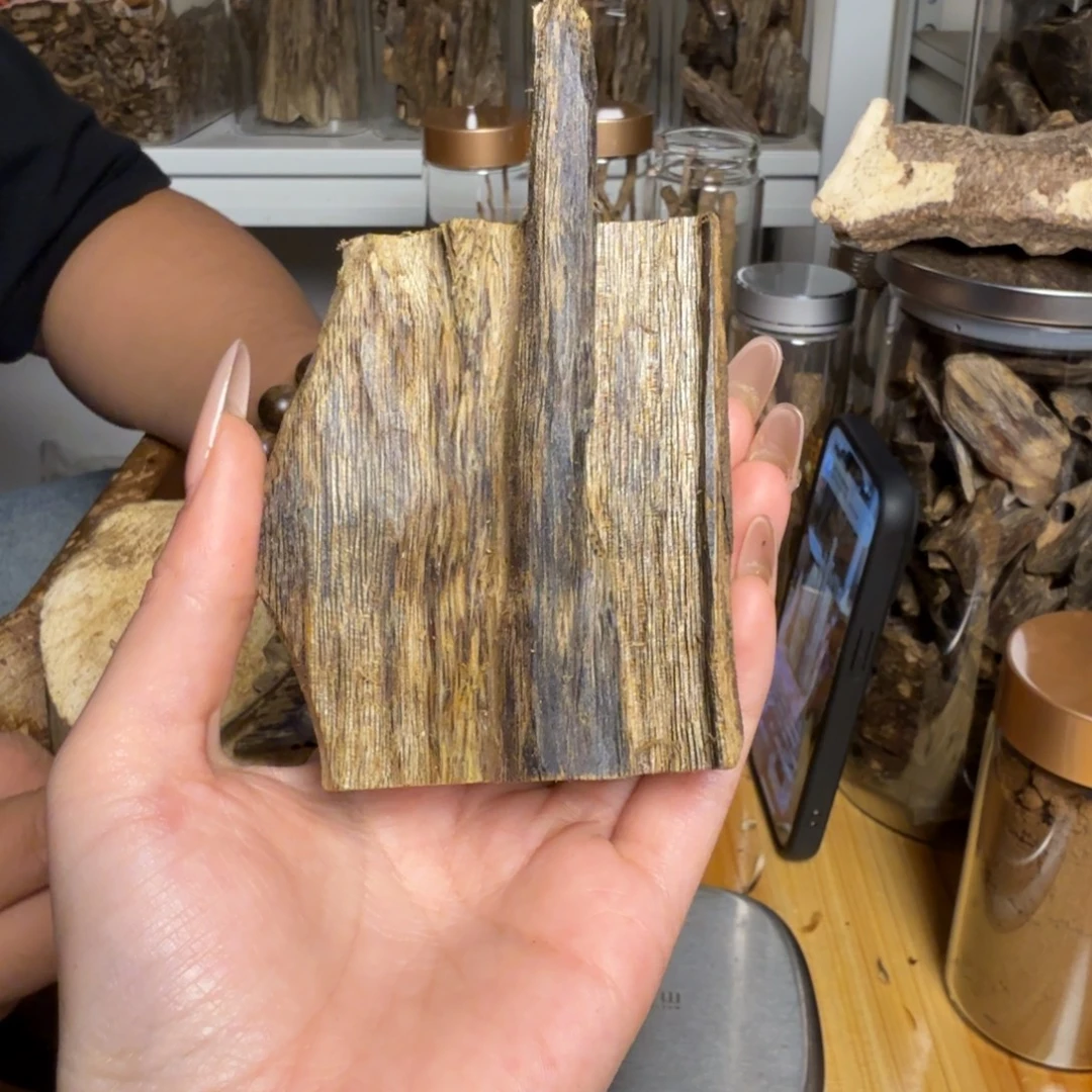 沉香白奇虫漏49克