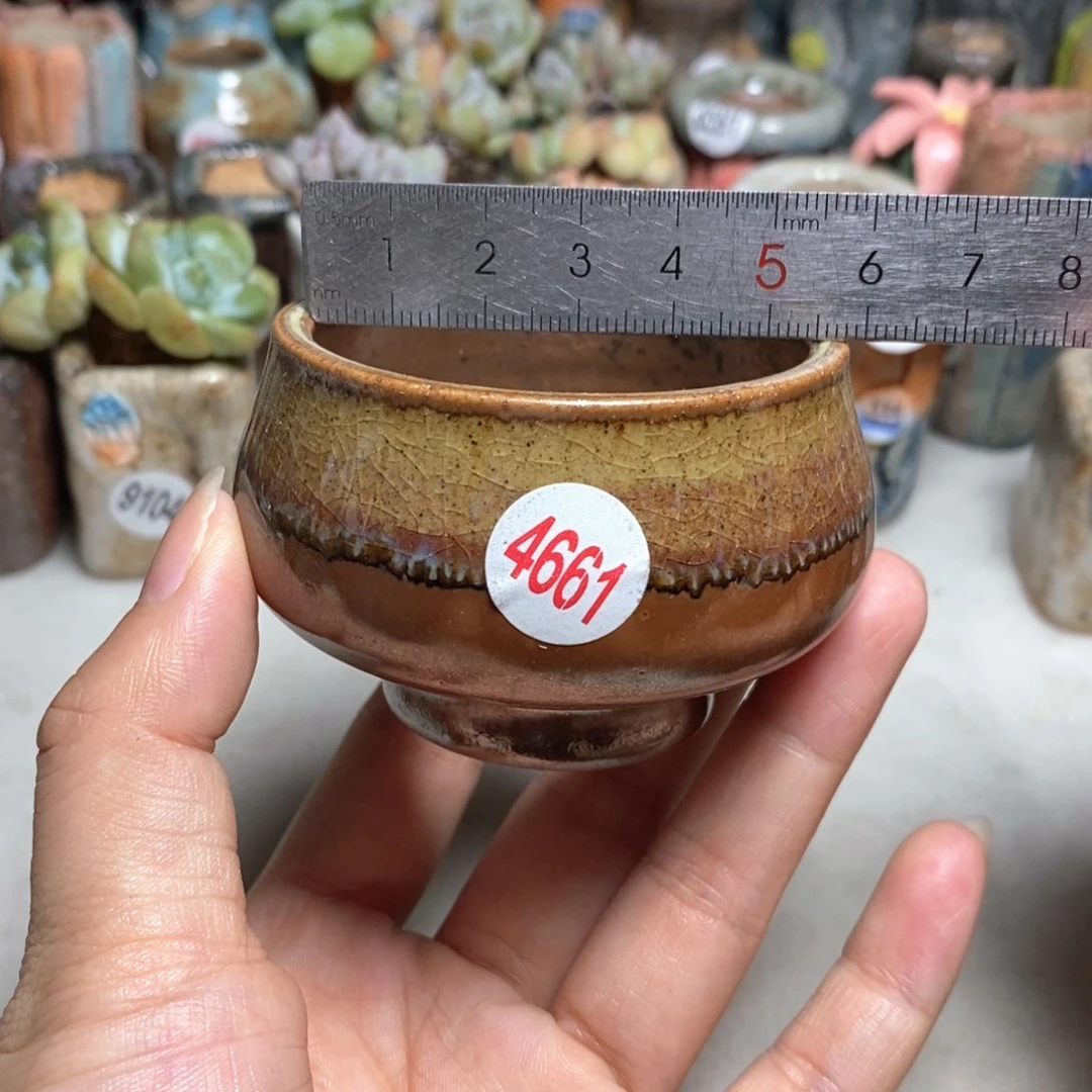 拍5送一个小礼物
