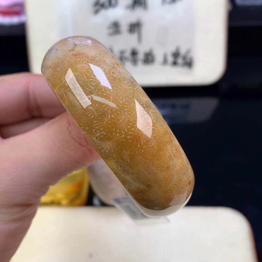 硅化珊瑚（珊瑚玉）未镶嵌颈饰36号54.6圈金胖虫
