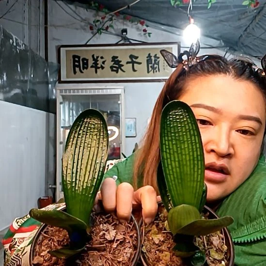 蚂***头@蚂蚁啃骨头福利花两个39