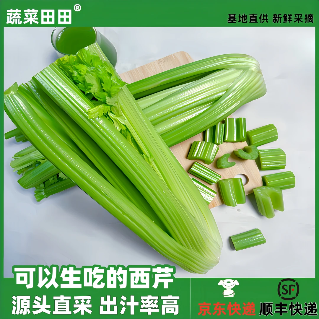 优质榨汁西芹净重3/5斤现摘现发新鲜健康精选大小寿光榨汁用西芹