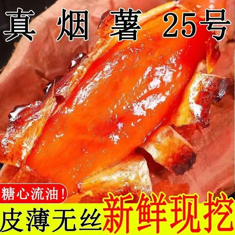正宗山东烟薯蜜薯沙地25红薯新鲜山芋糖心地瓜红心番薯香甜批发