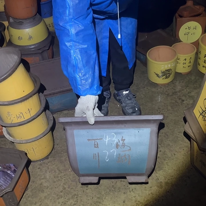 紫砂紫砂花盆和一