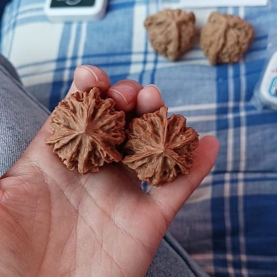 用***5岐山文玩核桃三棱子