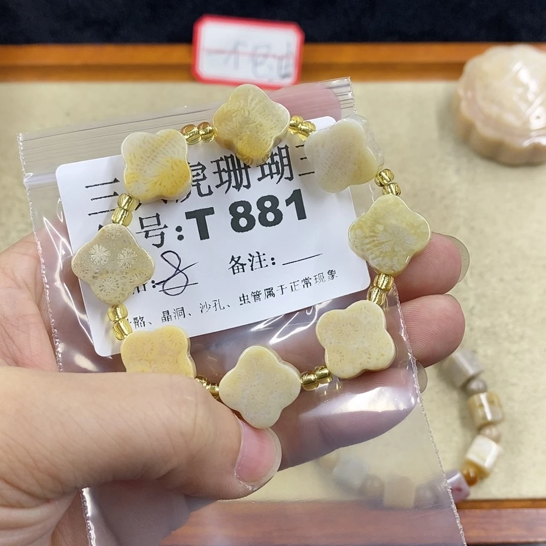 硅化珊瑚（珊瑚玉）1未镶嵌小****a