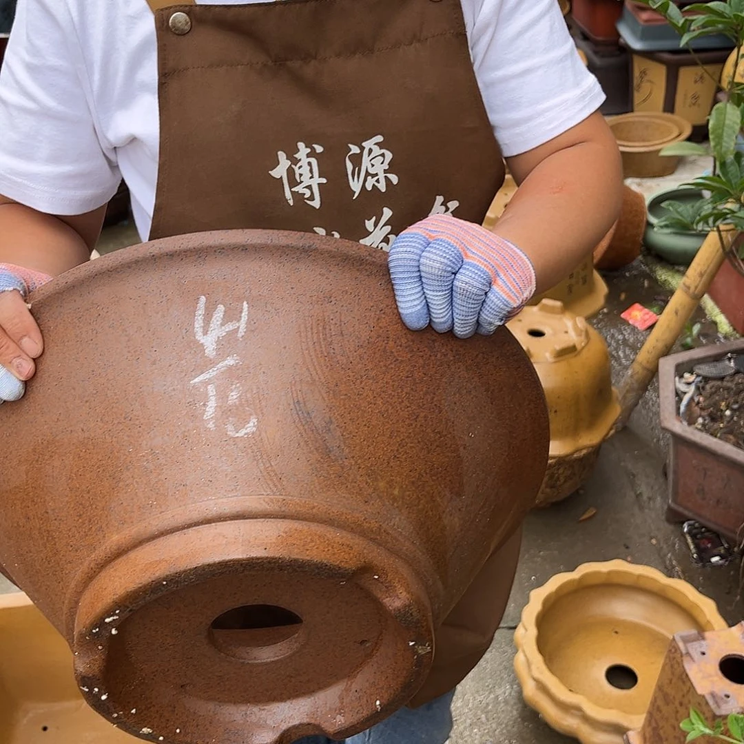 紫砂花盆盆景艺术