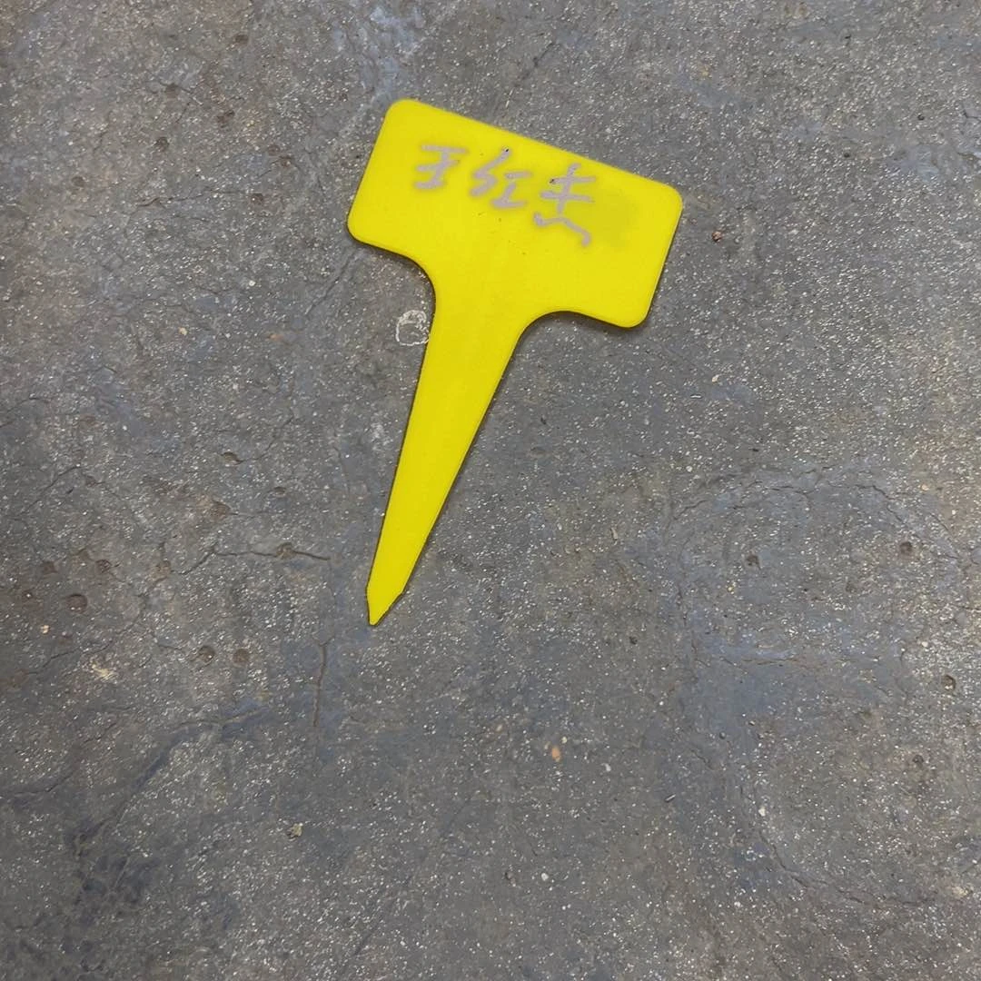 王****哦我我也约有早我想要